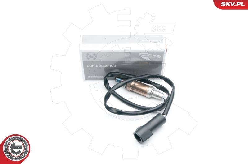 Oxygen Sensor
